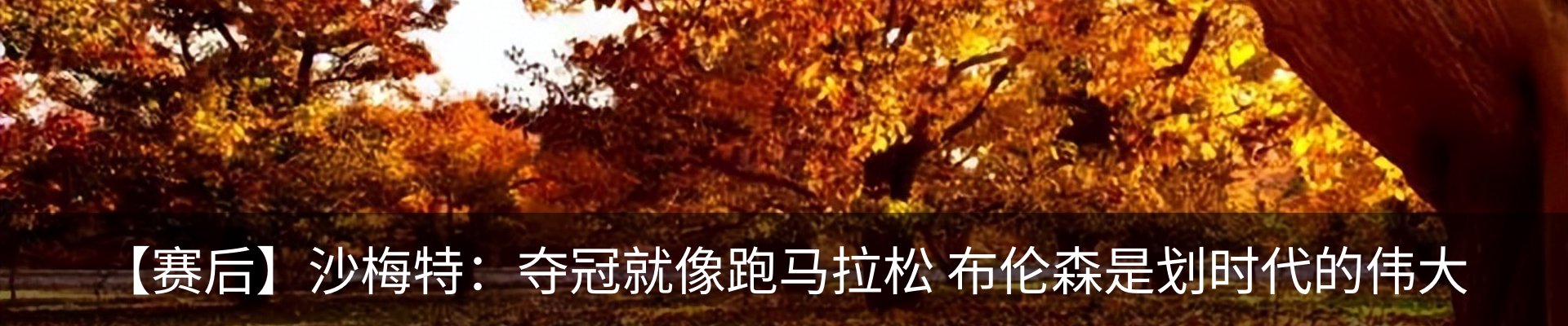 内页banner